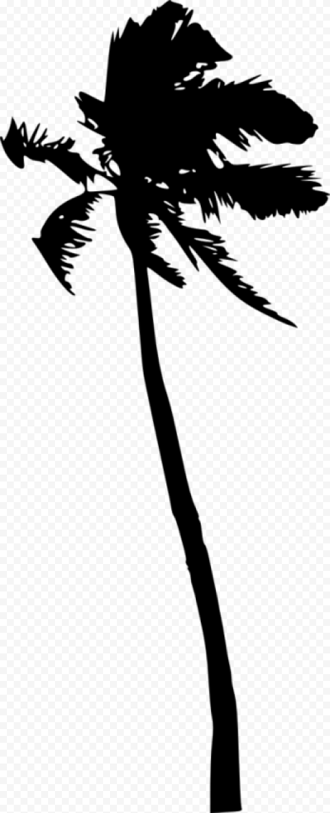 palm tree silhouette transparent background