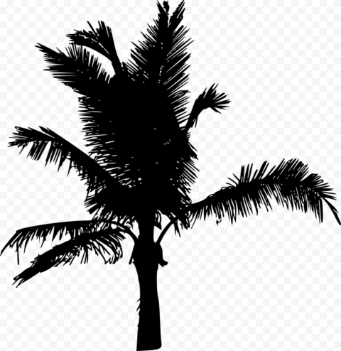 palm tree silhouette greeb pack