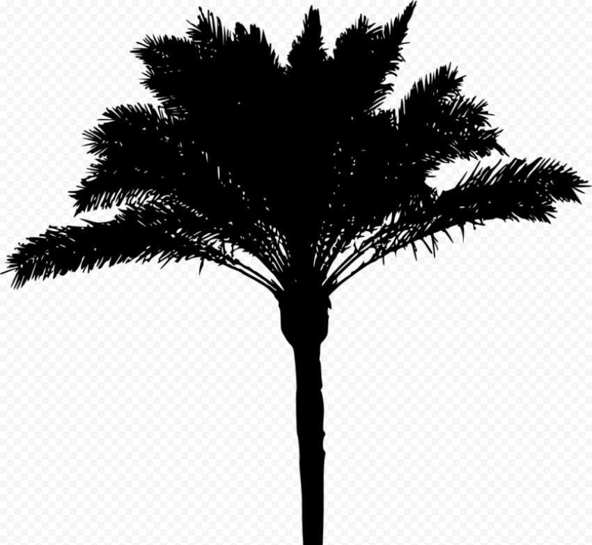 palm tree silhouette 1024x943