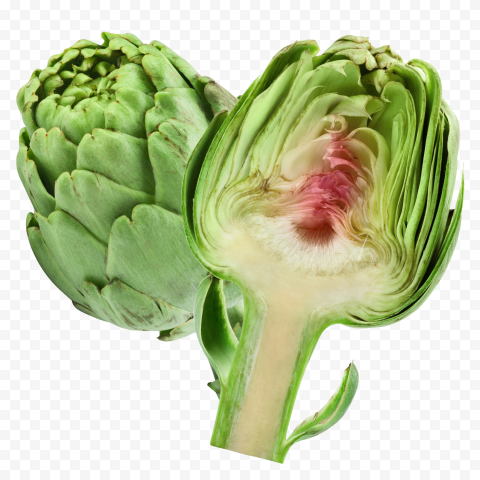 artichokes transparent