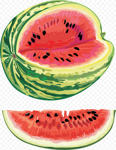 watermelon png image 4