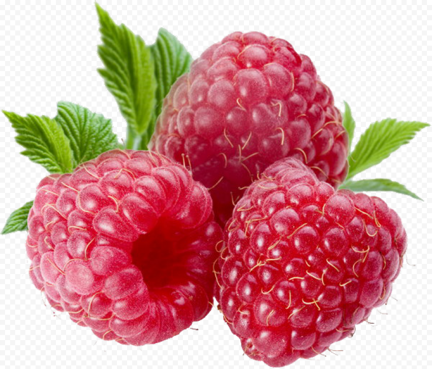 berries file