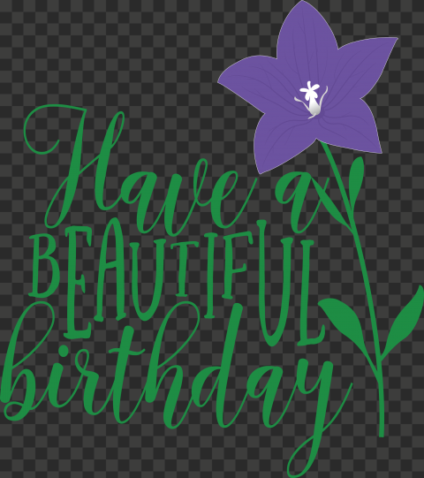Beautiful Birthday, Jonas Brothers, png