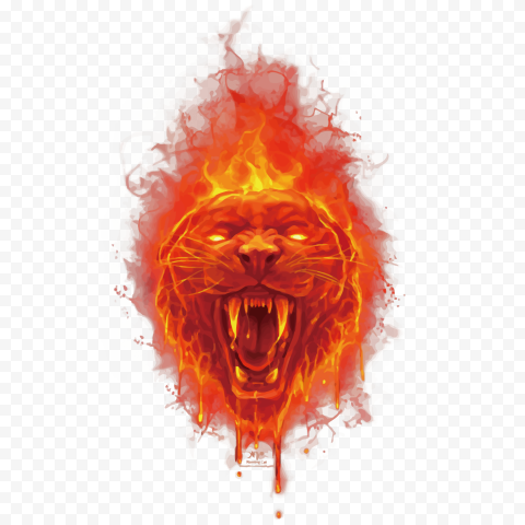Fire panther face illustration, Tiger Fire Euclidean, fire tiger head, orange, happy Birthday Vector Images png free download