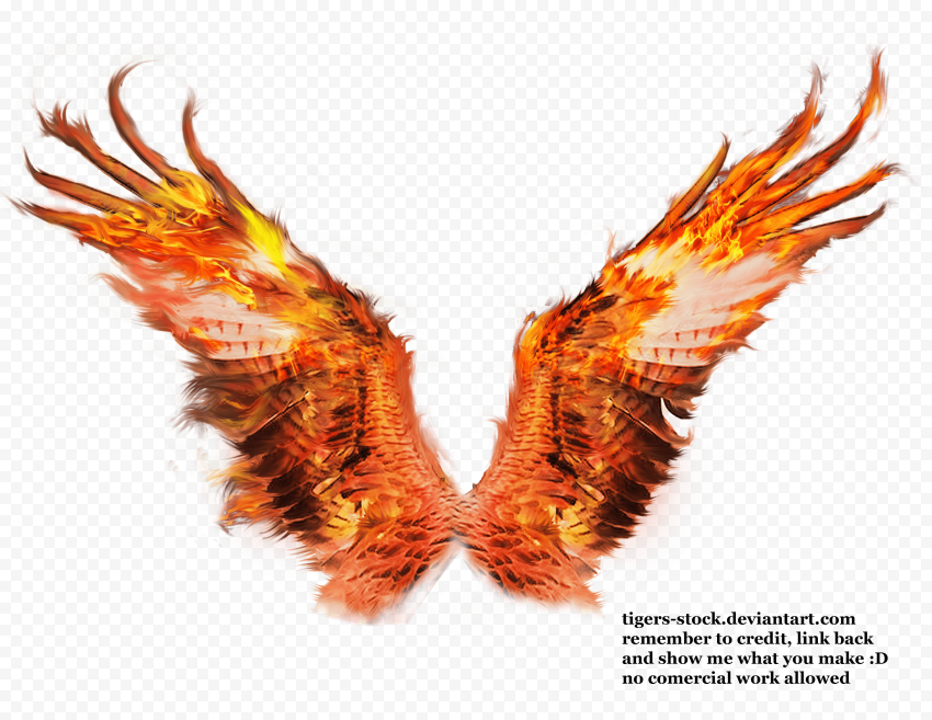 Flamed wings, Fire, burning letter a, color, animal png min