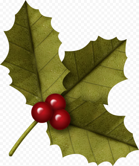 Leaves Clipart Christmas   Clipart Of Christmas Leaves Png, Transparent Png