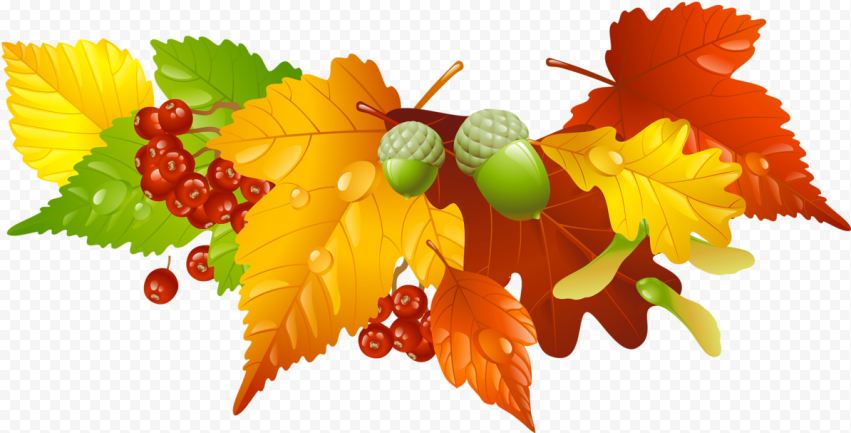 Thanksgiving Leaves Border Png   Autumn Leaves Free Clipart, Transparent Png