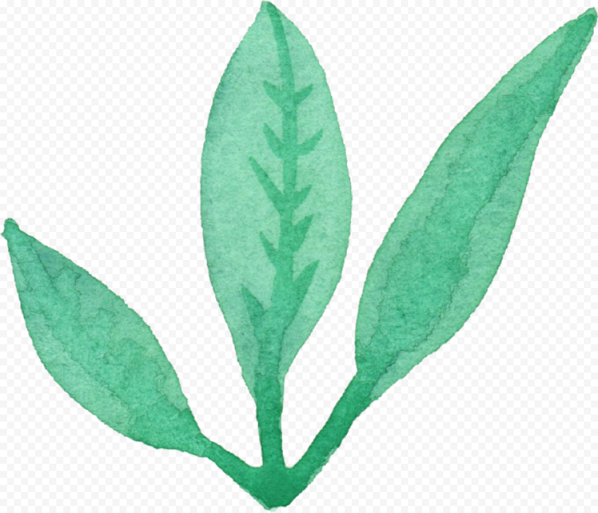 Free Leaves Watercolor Png, Transparent Png