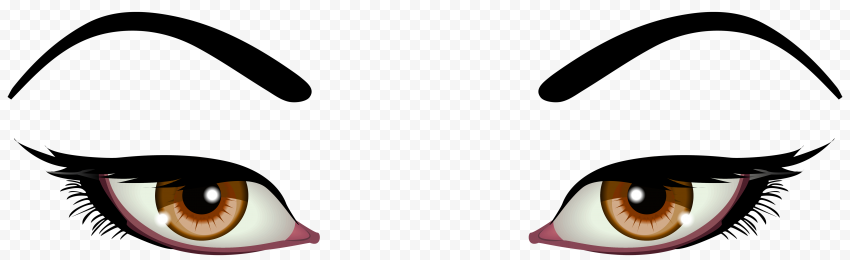 Female Eyes Brown PNG Clip Art 2027
