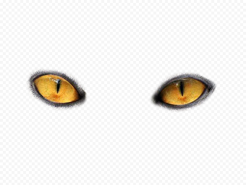 Pair of yellow cats eyes, Cat's eye Light, Eyes, people, orange, computer Wallpaper png