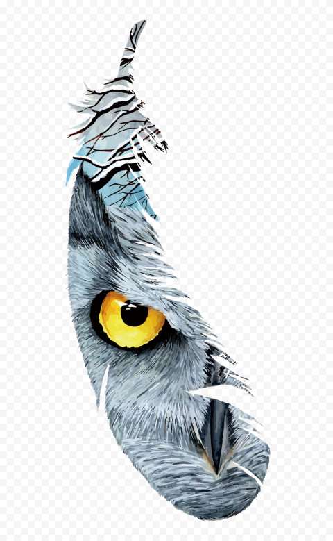 Feather with owl eye, Feather Bird Euclidean, Feather Hawk Eye, png Material, painted, hand png