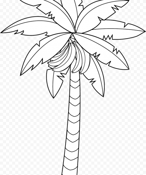 Banana Tree Drawing Outstanding Vector Hand Of In Large   Drawing, HD Png Download