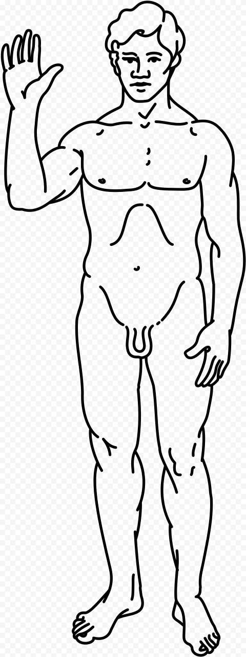 Pioneer Plaque Line drawing Of A Human Male   Drawing For Neuro Exam, HD Png Download