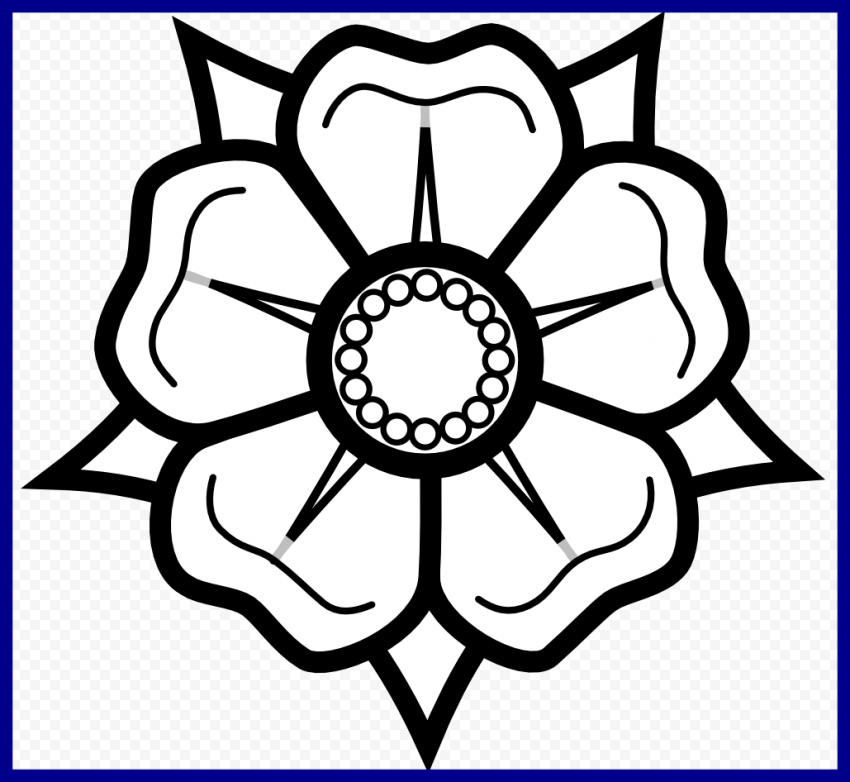Clip Library Stock Shocking Rose Flower Drawing Image   Cute Easy Flower Drawings, HD Png Download