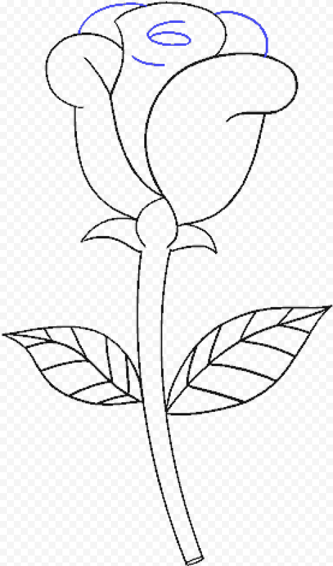 Simple Rose Drawing, HD Png Download