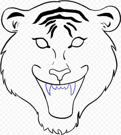 Drawn White Tiger Jungle Drawing   Tiger Face Drawing Easy, HD Png Download