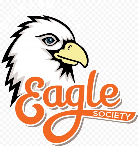 Meet Our Incredible Alumni   Bald Eagle, HD Png Download