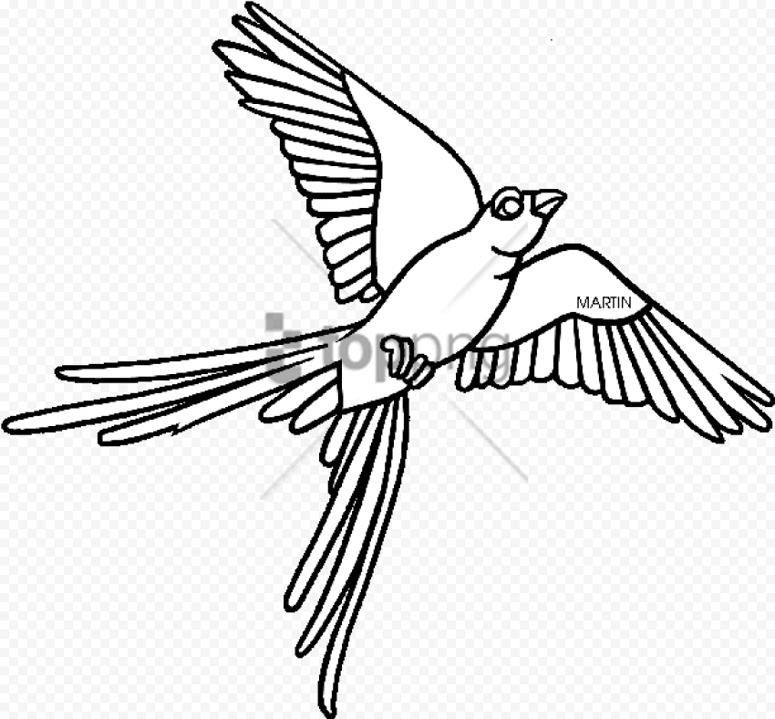 Free Png Oklahoma State Bird Drawing Png Image With   Scissor Tailed Flycatcher Clipart, Png
