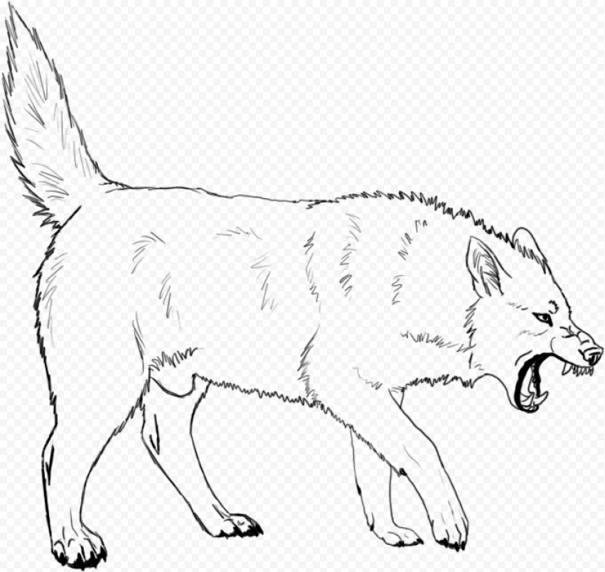 Wolf Lineart 001 By Angry Wolf For Life   Angry Wolf Line Art, HD Png Download