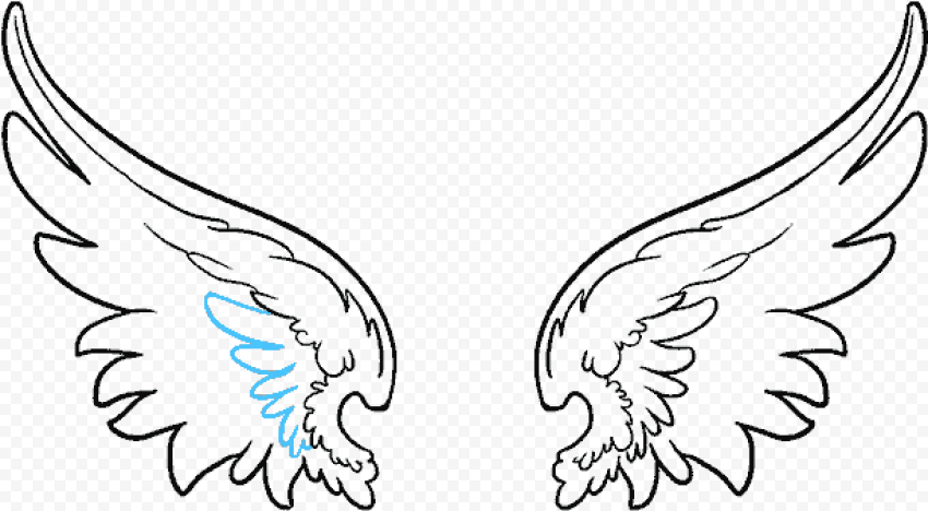 Drawing Brush Feather   Easy Bird Wings Drawing, HD Png Download