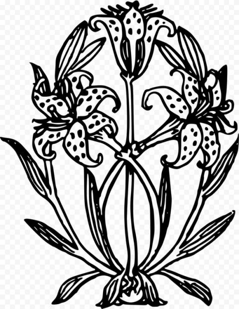 Floral Design Paisley Motif Flower Drawing   Illustration, HD Png Download