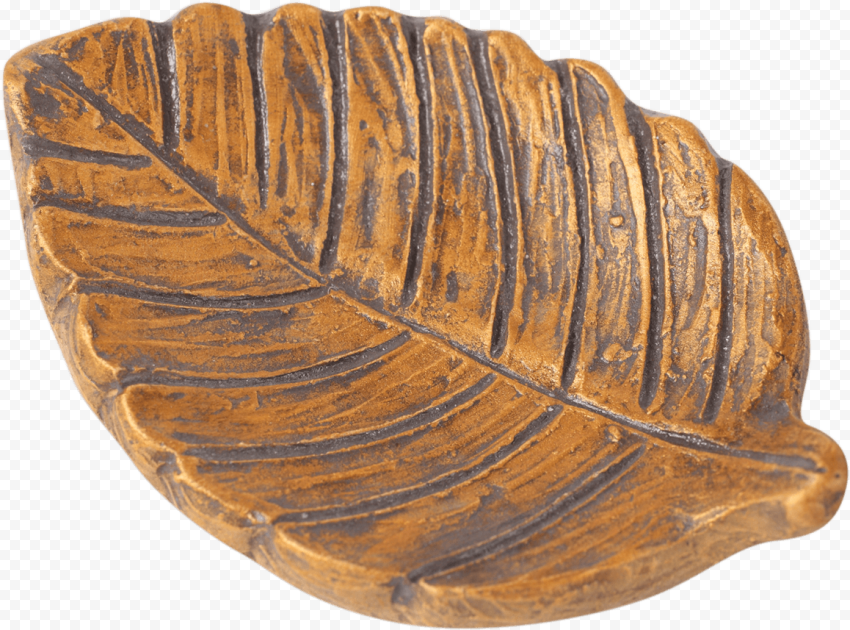 The Birch   Artifact, HD Png Download