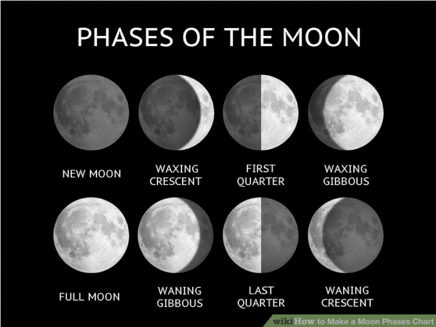 Many Phases Of The Moon Are There, HD Png Download
