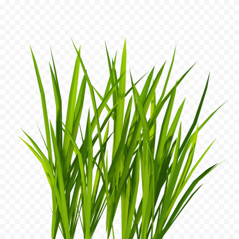 Green grass illustration, Lawn Icon, Grass Green Grass, love, image File Formats, grass png