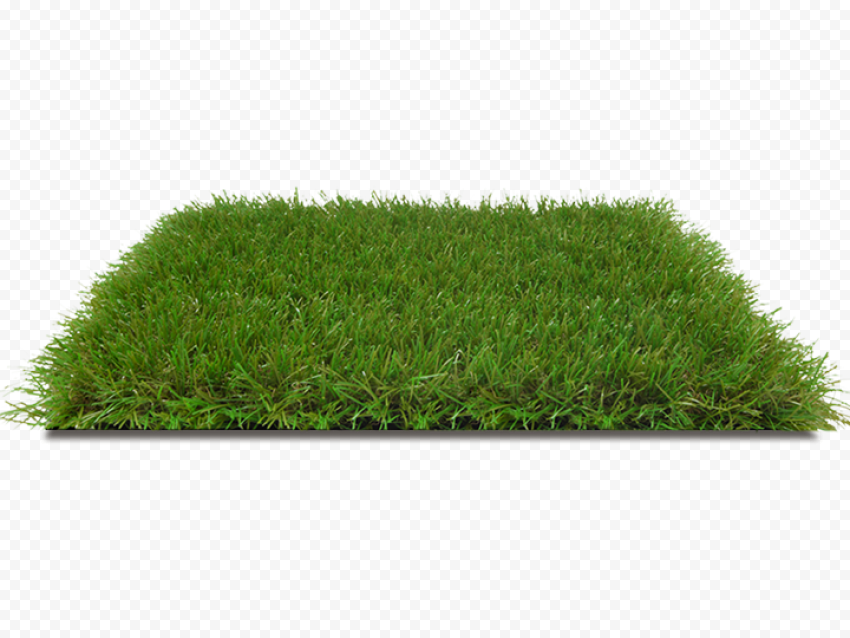 Green grass, Artificial turf Lawn Grass Garden Fiber, turf, landscape, swimming Pool, grass png