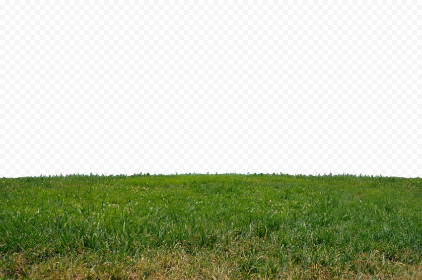 Grassland Meadow Grasses Pasture Agriculture, grass, grass, lawn, farm png