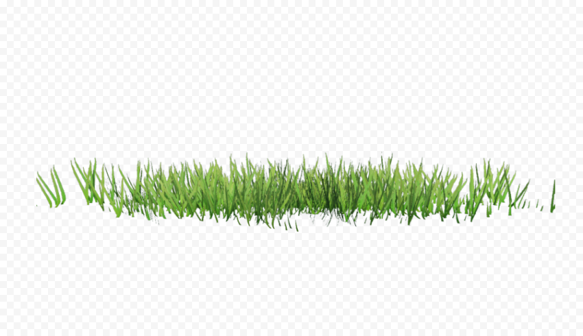Drawing, spring grass, grass, plant Stem, lawn png