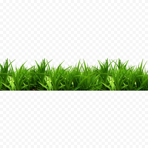Green grass, Bench Park, Grass, white, furniture, rectangle png