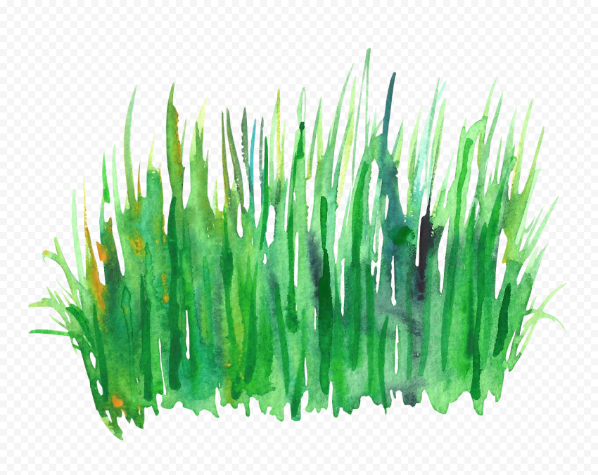 Green grass painting, Green Watercolor painting, Watercolor grass, watercolor Leaves, plant Stem, grass png