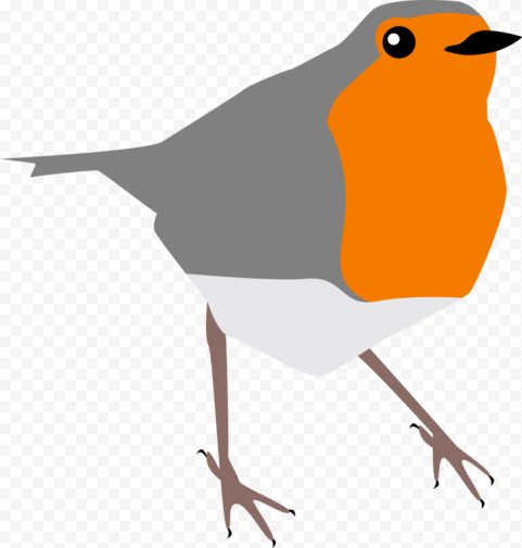 European Robin Bird Transparent