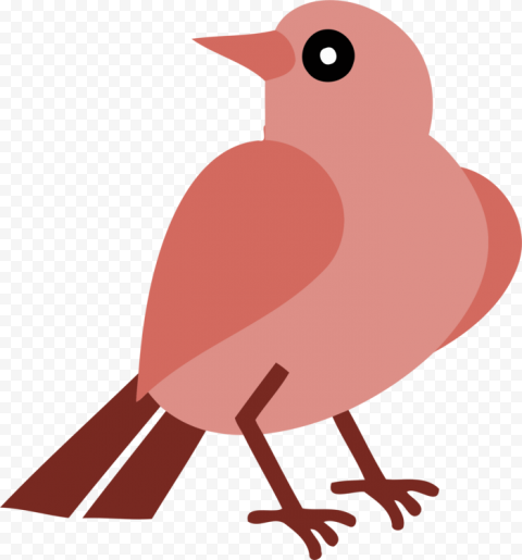 European Robin Bird PNG Picture