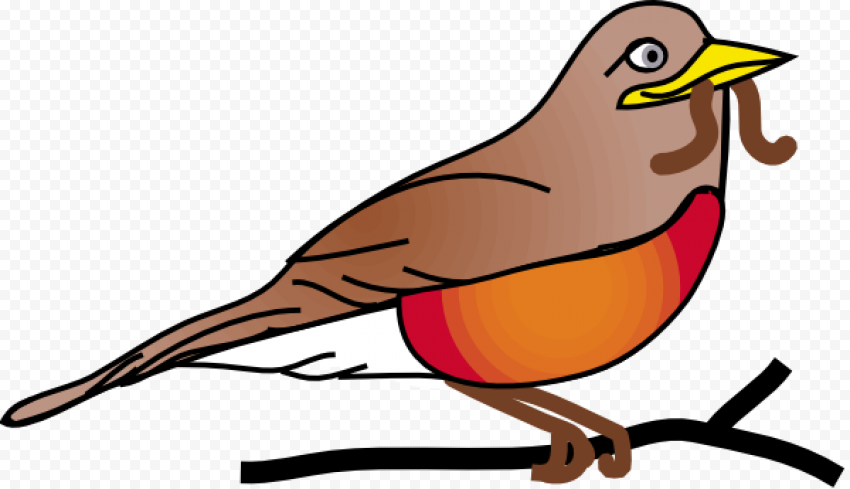 American Robin Bird Transparent Image
