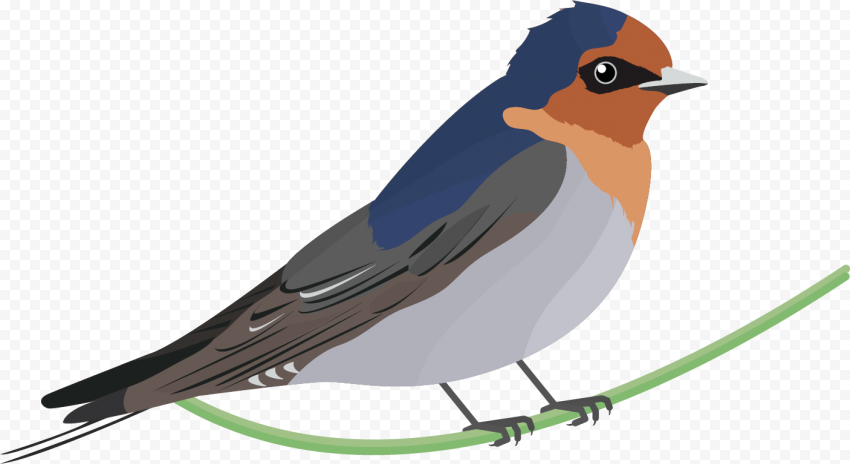 European Robin Bird PNG Download Image