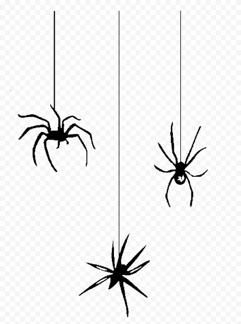 Halloween Three Spiders Black Silhouette PNG IMG