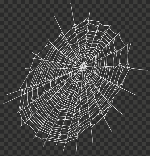 HD Halloween White Spider Web Transparent Background