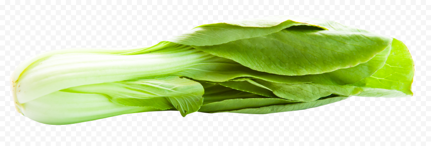 Bok Choy Transparent Background