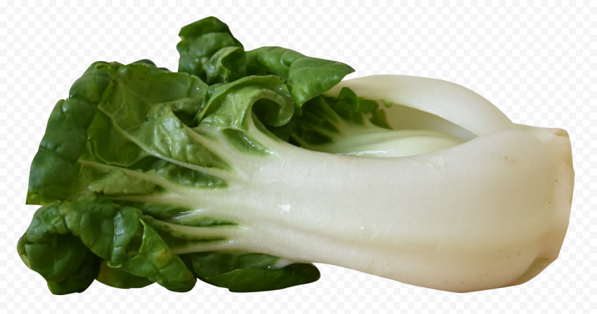 Bok Choy PNG HD