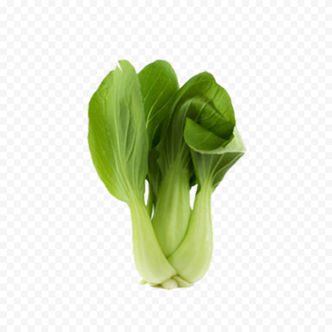 Bok Choy PNG Clipart