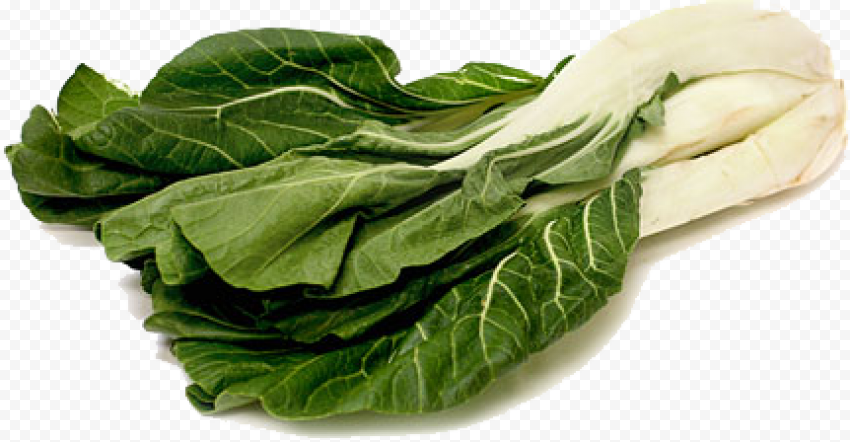 Bok Choy PNG File