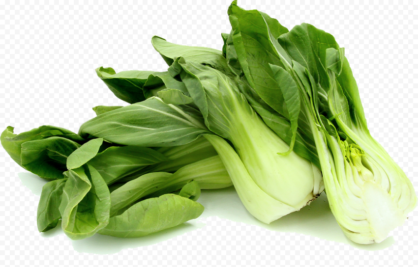 Bok Choy PNG Photos