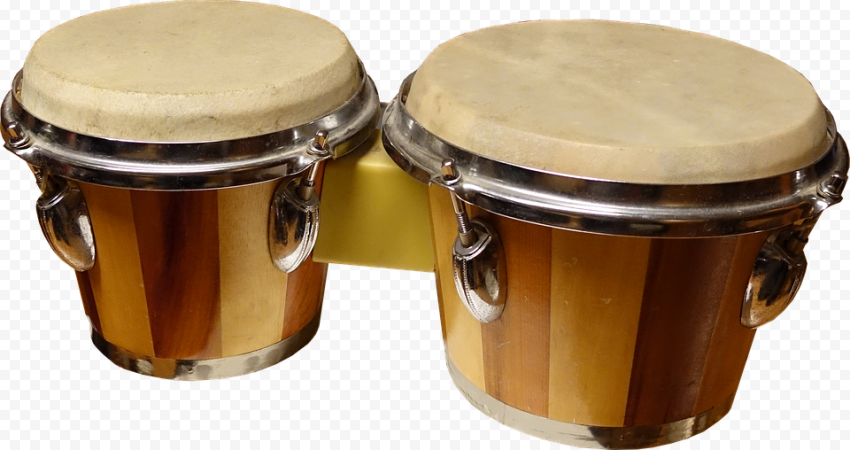 Bongo Drum PNG Download Image