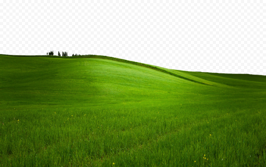 Landscape Green Field PNG Clipart