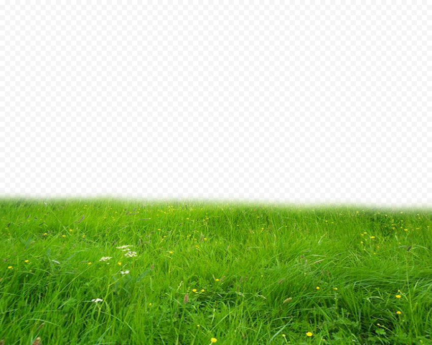 Landscape Transparent PNG
