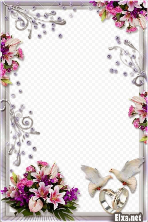 Wedding Frame PNG Transparent Background