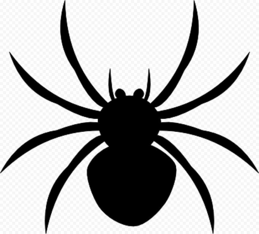 Halloween Spider PNG HD