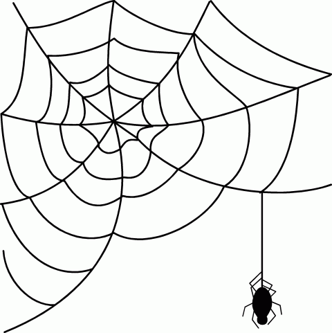 Halloween Spider PNG Free Download